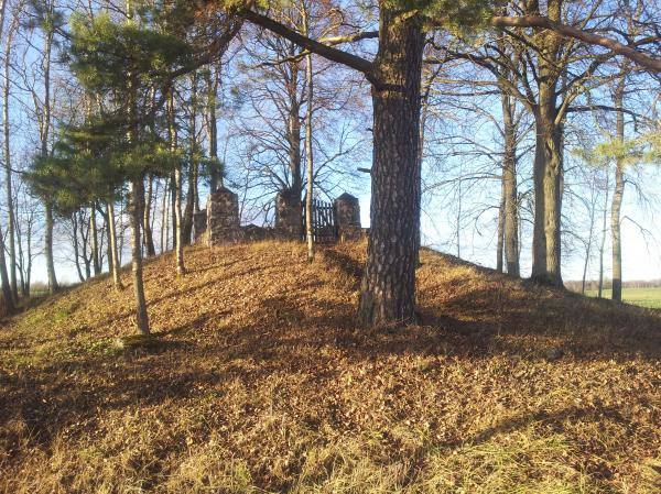 Paliepių Grūžių dvaro kapinaitės. Nuotrauka iš Pasvalio Mariaus Katiliškio viešosios bibliotekos Krašto kultūros dokumentavimo centro fondų, 2015